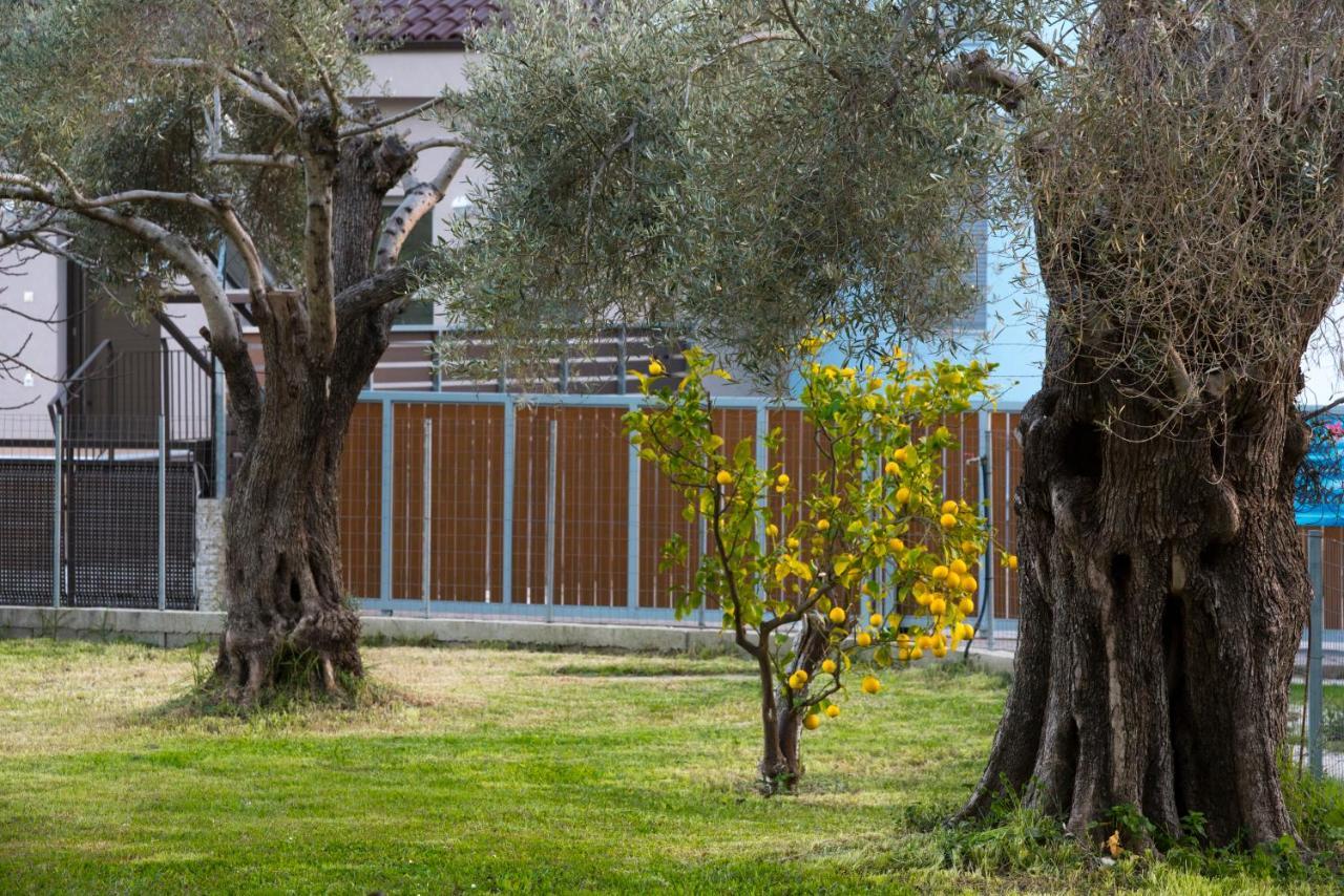 נידרי Kostas Studios מראה חיצוני תמונה